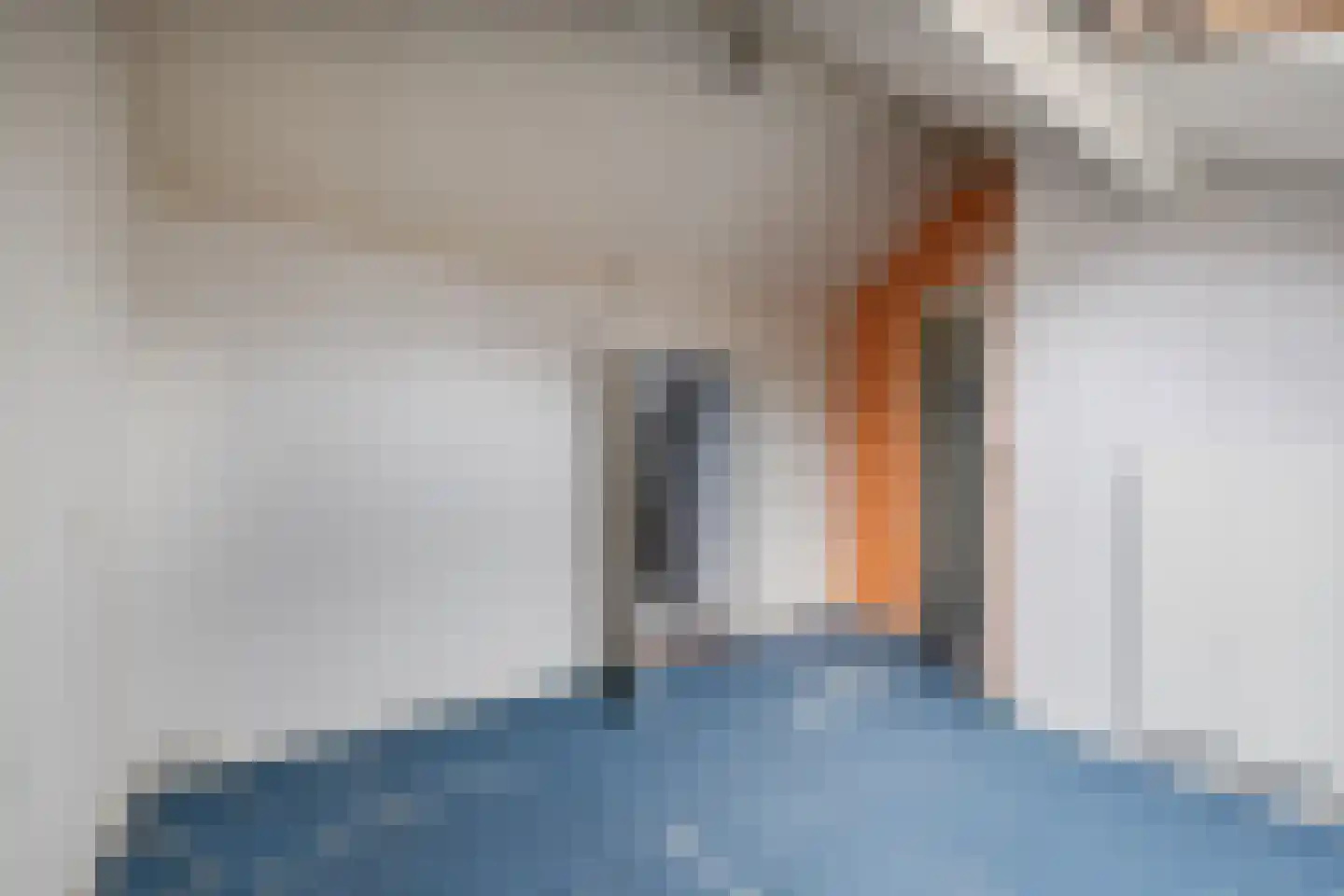 't Zuden 89 Leek thumbnail 25