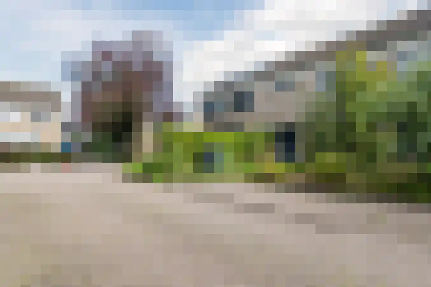 't Zuden 89 Leek thumbnail 28