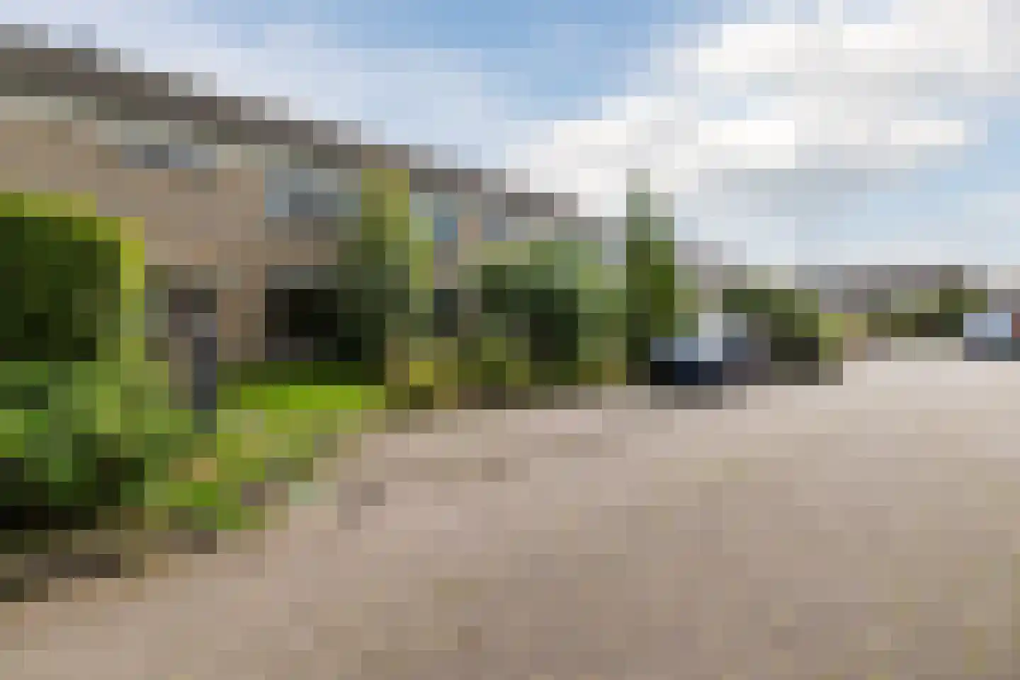 't Zuden 89 Leek thumbnail 29