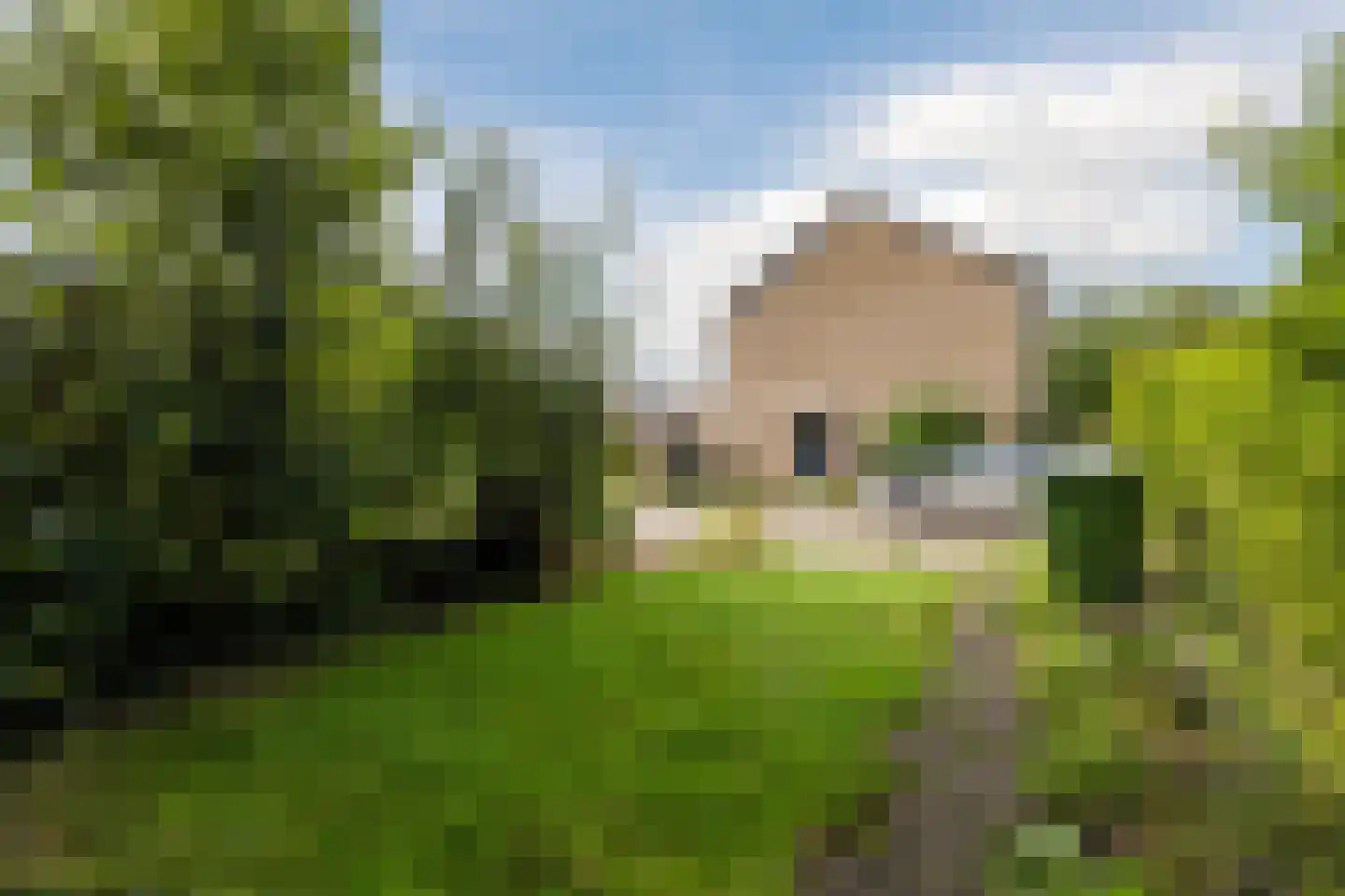 't Zuden 89 Leek thumbnail 8