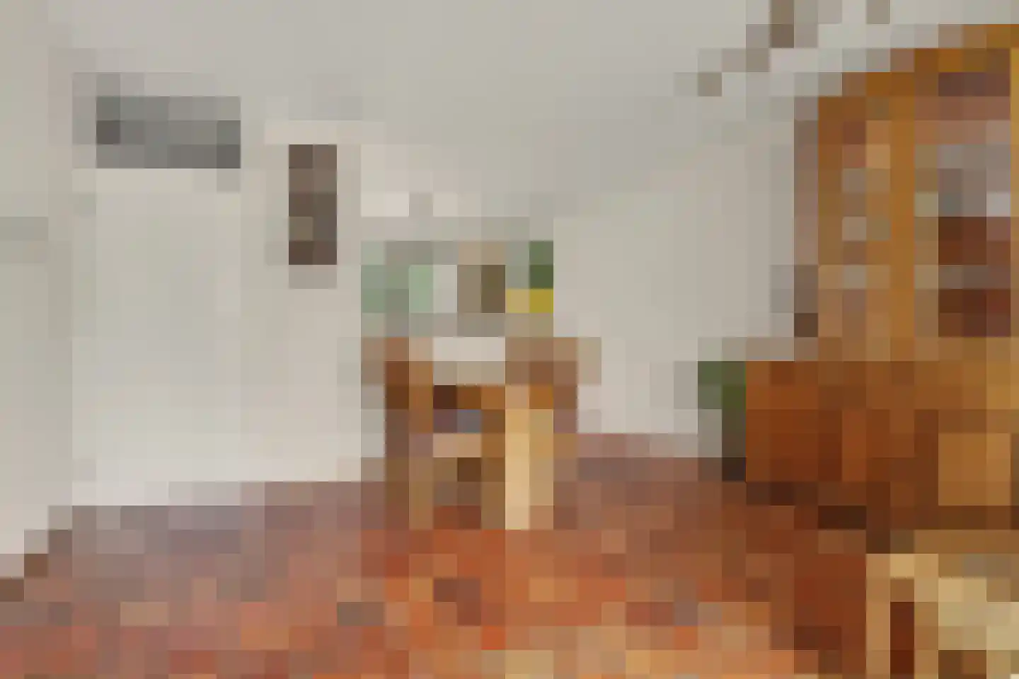 't Zwaantje 1 Ridderkerk thumbnail 11