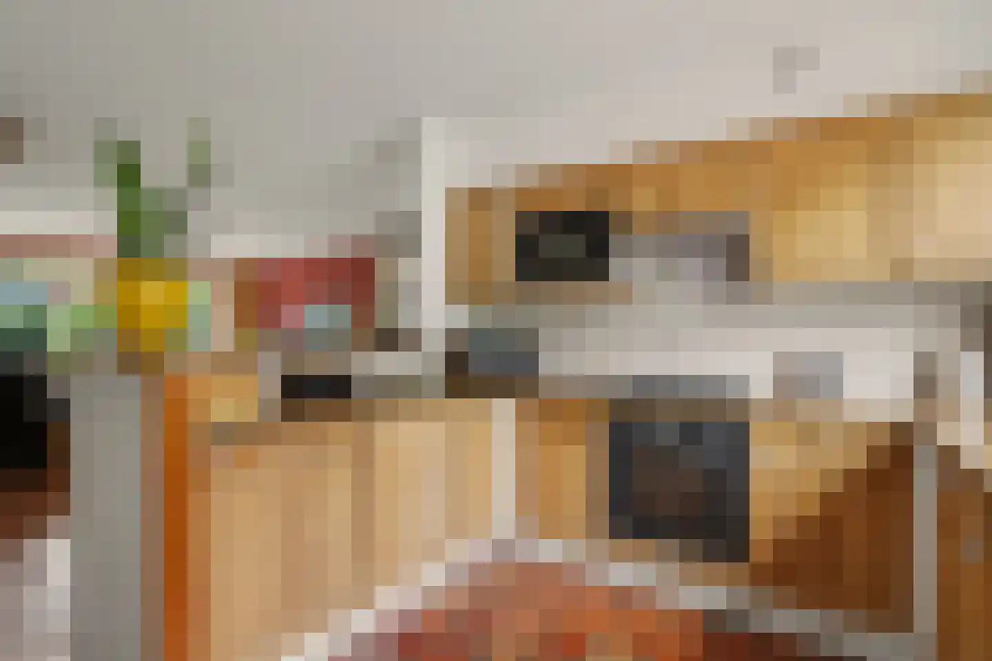 't Zwaantje 1 Ridderkerk thumbnail 12