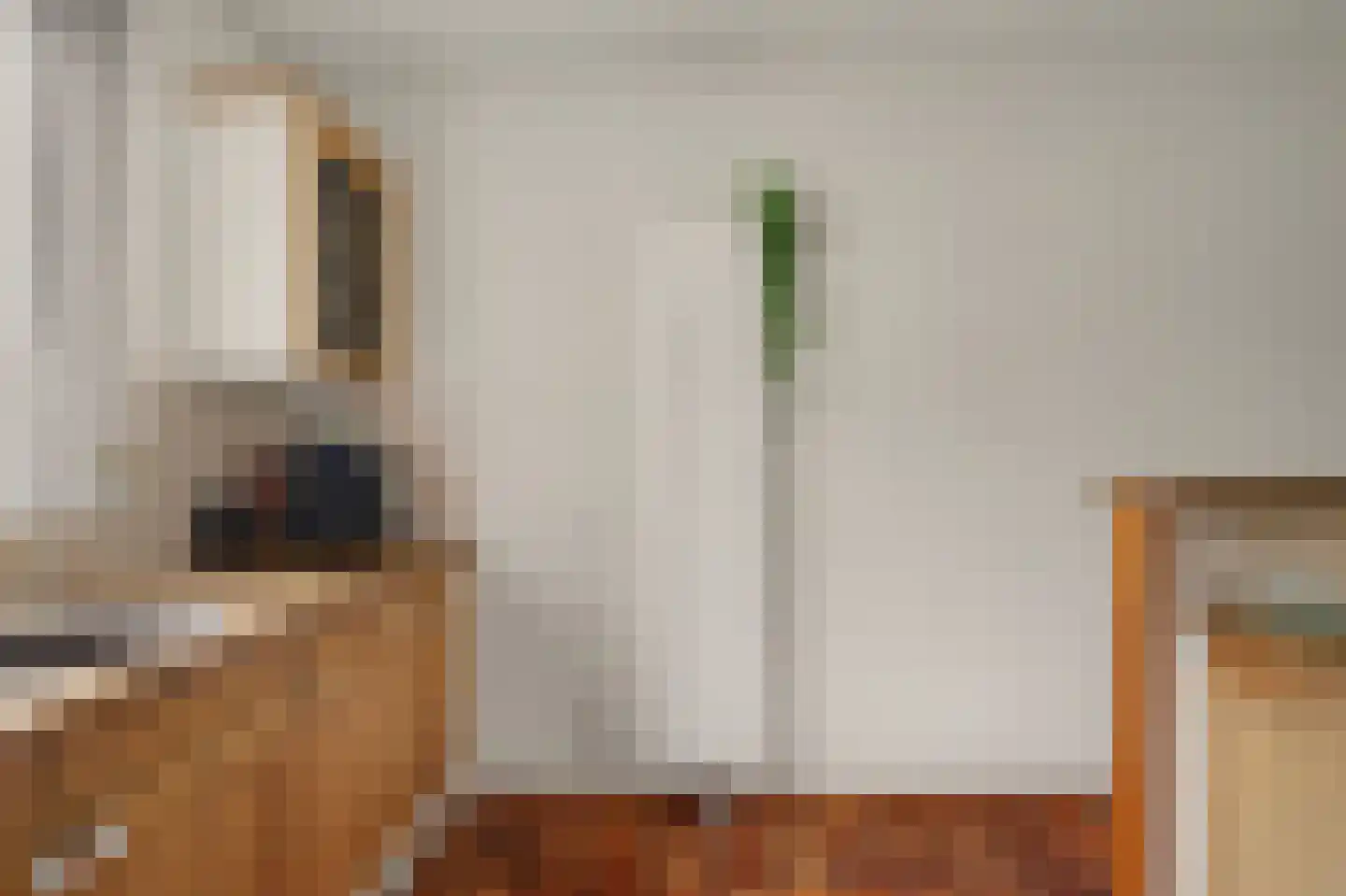 't Zwaantje 1 Ridderkerk thumbnail 15