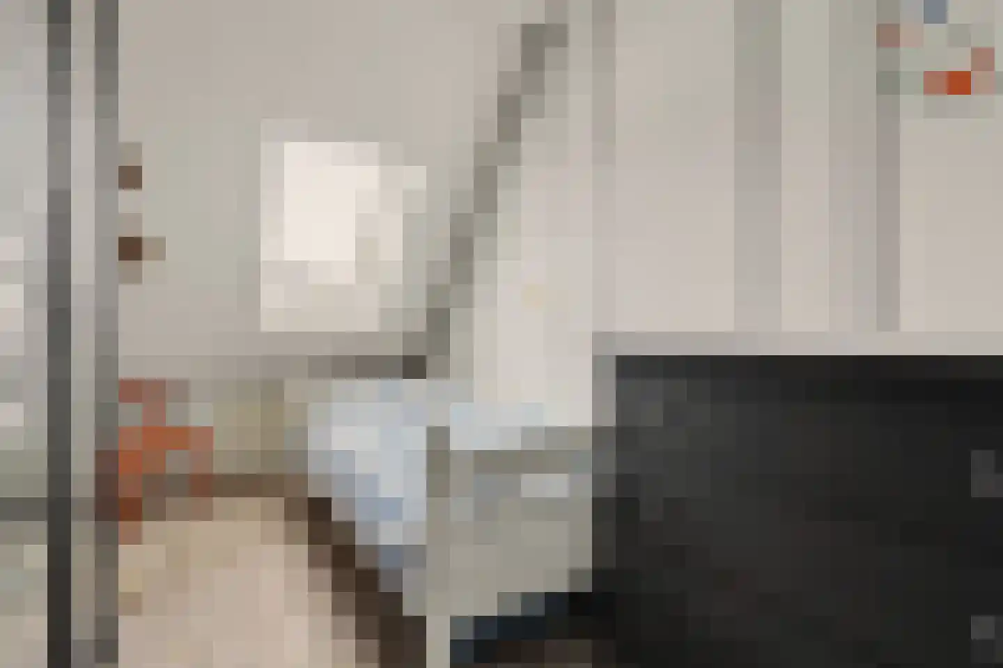 't Zwaantje 1 Ridderkerk thumbnail 22