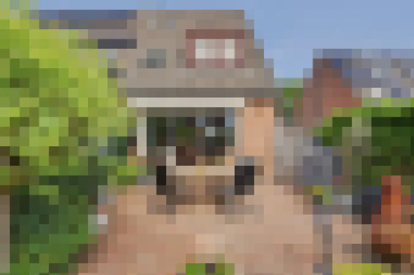 't Zwaantje 1 Ridderkerk thumbnail 36