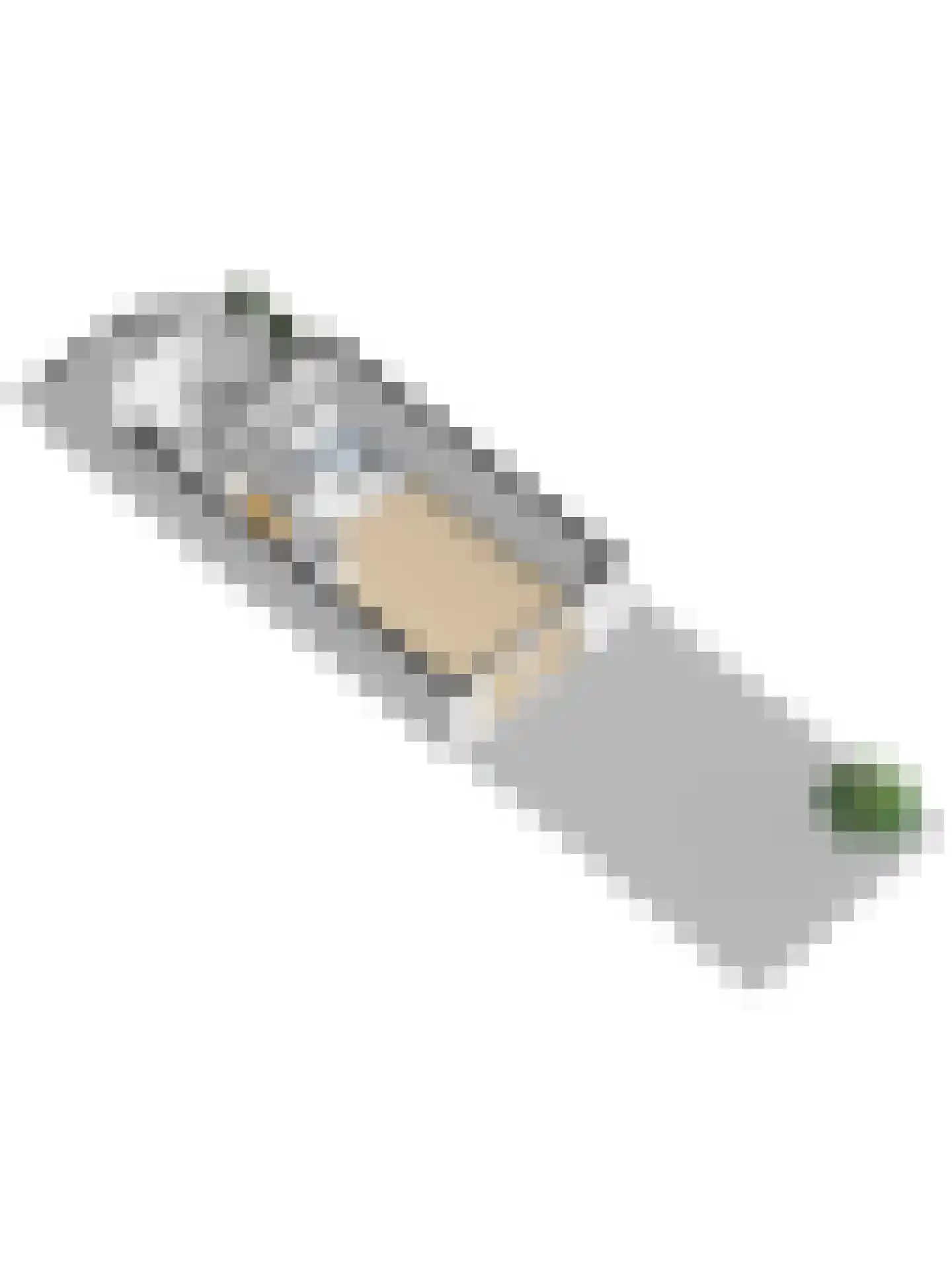 't Zwaantje 1 Ridderkerk thumbnail 60