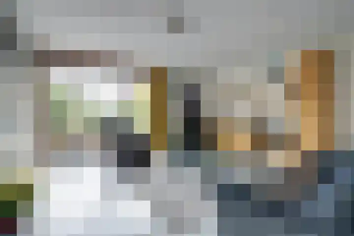 't Zwaantje 2 Ridderkerk thumbnail 11