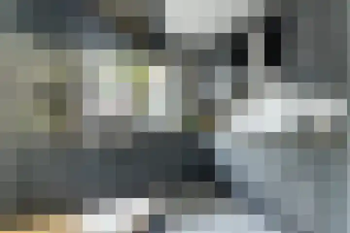 't Zwaantje 2 Ridderkerk thumbnail 12