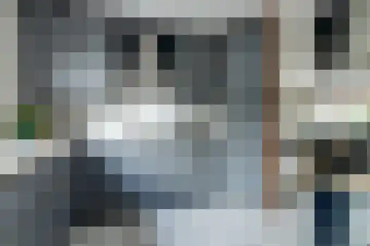 't Zwaantje 2 Ridderkerk thumbnail 13