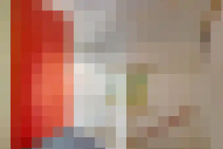 't Zwaantje 2 Ridderkerk thumbnail 18