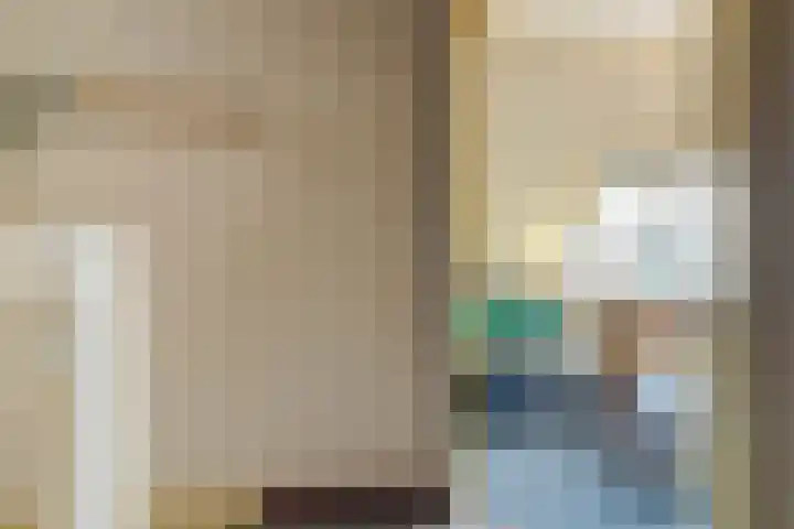 't Zwaantje 2 Ridderkerk thumbnail 19