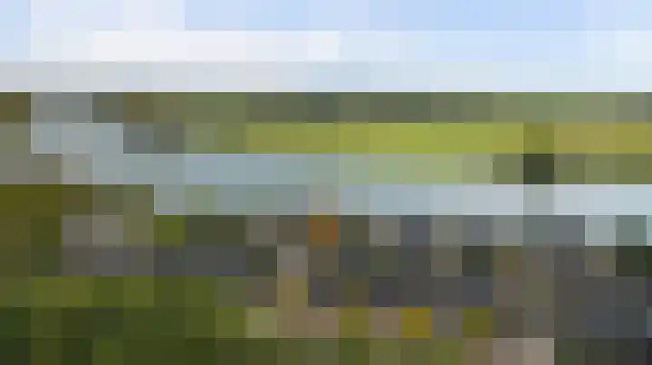 't Zwaantje 2 Ridderkerk foto 2