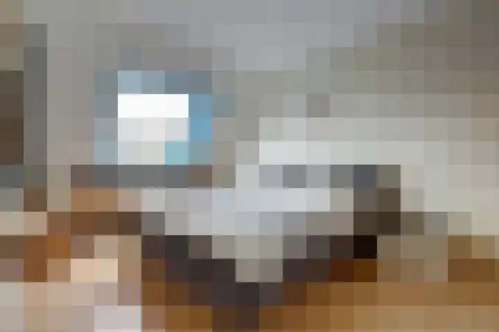 't Zwaantje 2 Ridderkerk thumbnail 20