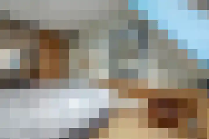 't Zwaantje 2 Ridderkerk thumbnail 21