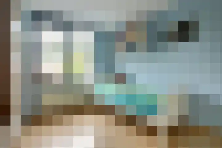 't Zwaantje 2 Ridderkerk thumbnail 22