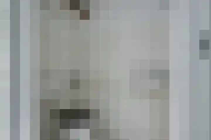 't Zwaantje 2 Ridderkerk thumbnail 24