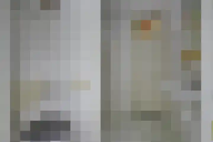 't Zwaantje 2 Ridderkerk thumbnail 25