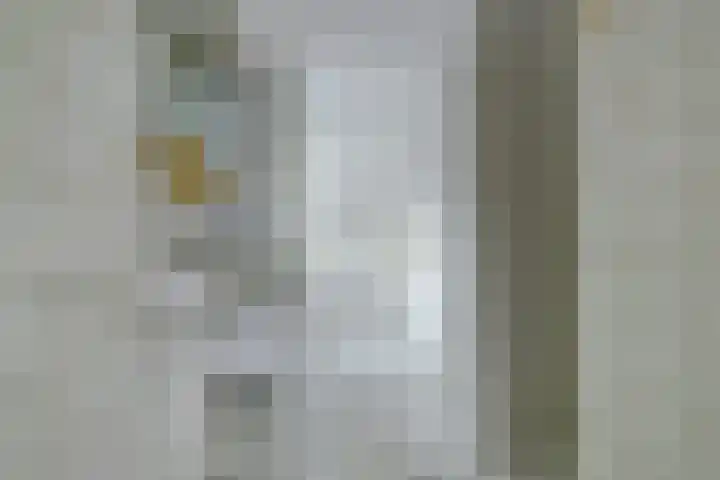 't Zwaantje 2 Ridderkerk thumbnail 27