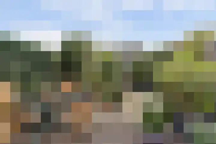 't Zwaantje 2 Ridderkerk foto 3