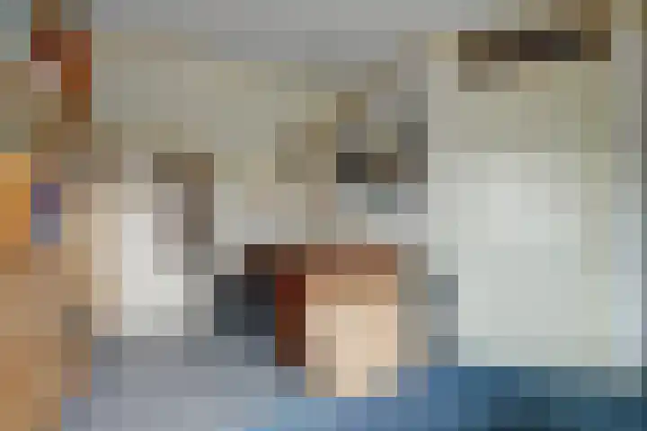't Zwaantje 2 Ridderkerk thumbnail 30