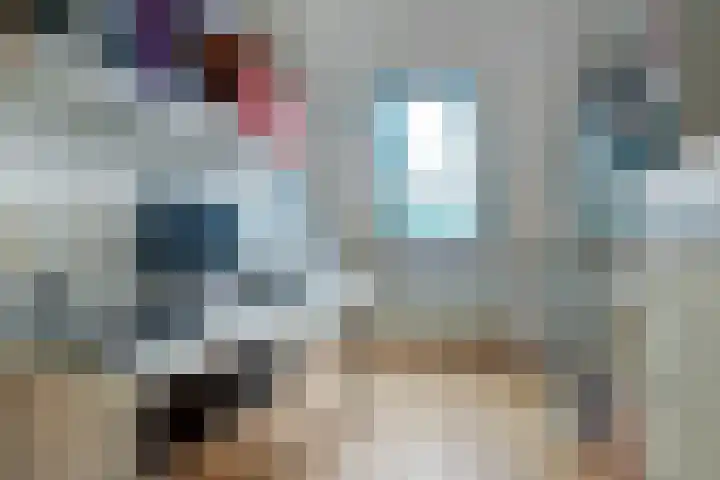 't Zwaantje 2 Ridderkerk thumbnail 31