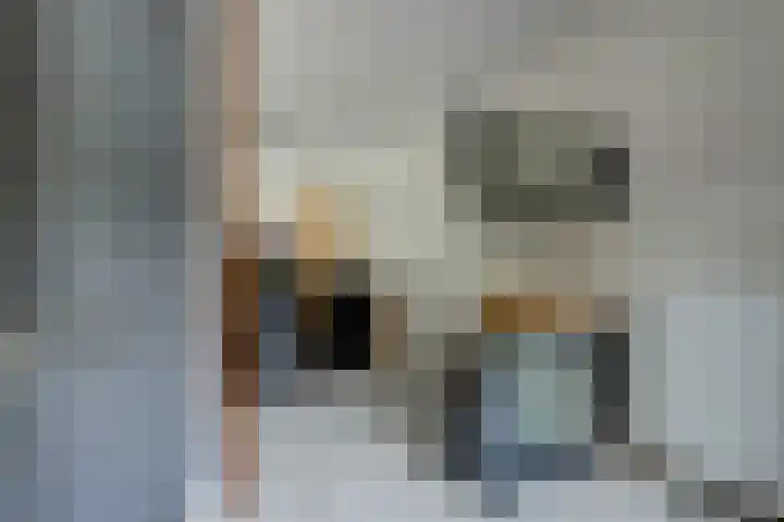 't Zwaantje 2 Ridderkerk thumbnail 33