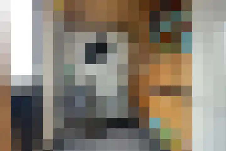't Zwaantje 2 Ridderkerk thumbnail 35