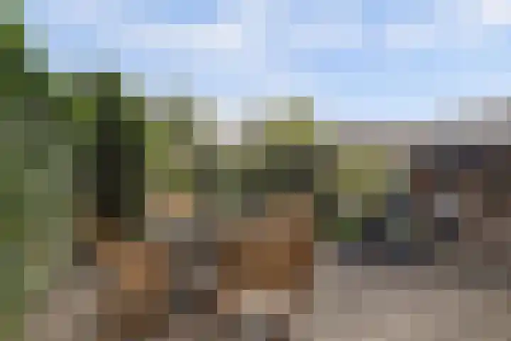 't Zwaantje 2 Ridderkerk thumbnail 38