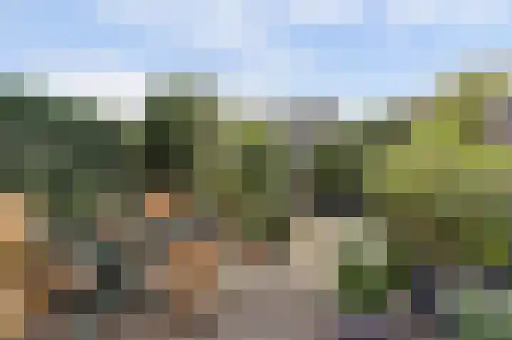 't Zwaantje 2 Ridderkerk thumbnail 39
