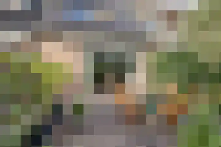 't Zwaantje 2 Ridderkerk thumbnail 41
