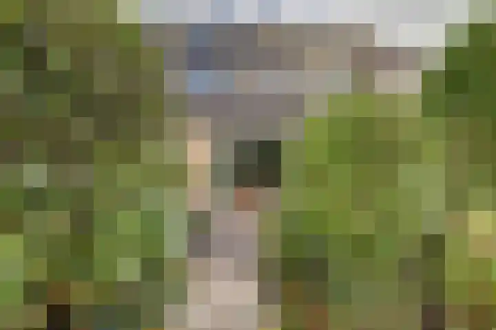 't Zwaantje 2 Ridderkerk thumbnail 42