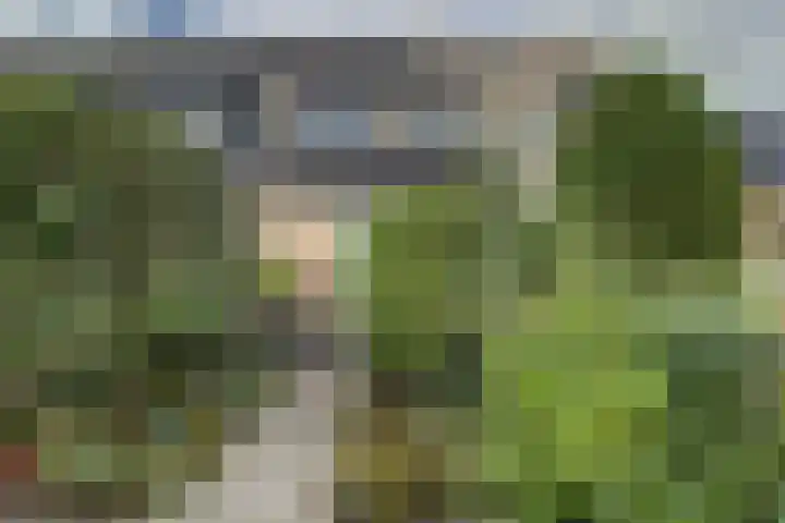 't Zwaantje 2 Ridderkerk thumbnail 43