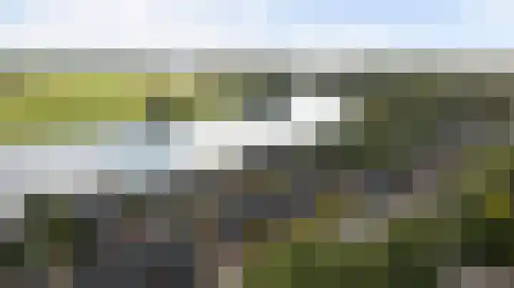 't Zwaantje 2 Ridderkerk thumbnail 47