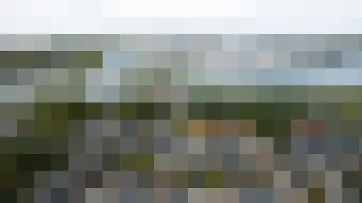 't Zwaantje 2 Ridderkerk thumbnail 48