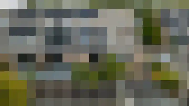 't Zwaantje 2 Ridderkerk thumbnail 50
