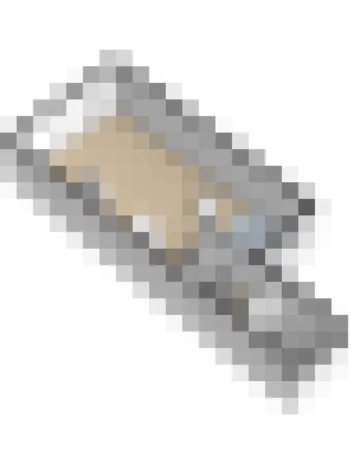 't Zwaantje 2 Ridderkerk thumbnail 52