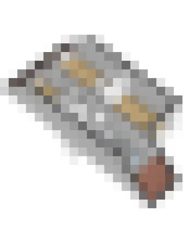 't Zwaantje 2 Ridderkerk thumbnail 54
