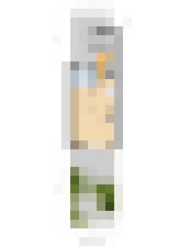 't Zwaantje 2 Ridderkerk thumbnail 59