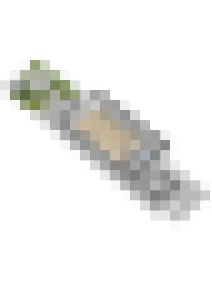 't Zwaantje 2 Ridderkerk thumbnail 60