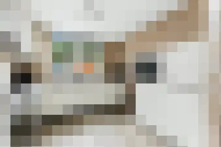 't Zwaantje 3 Ridderkerk thumbnail 12