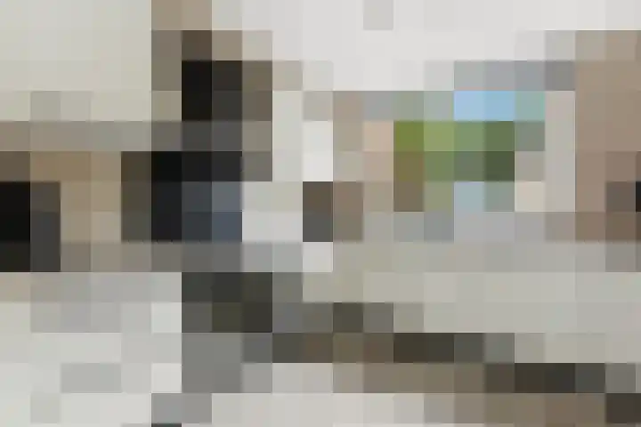't Zwaantje 3 Ridderkerk thumbnail 13