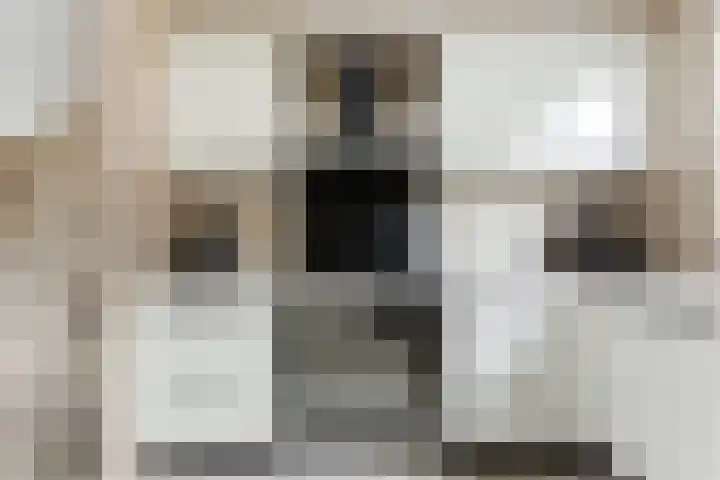 't Zwaantje 3 Ridderkerk thumbnail 14