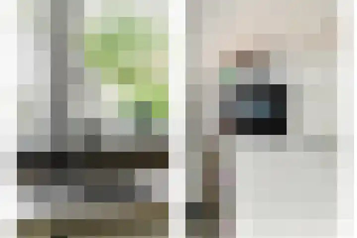 't Zwaantje 3 Ridderkerk thumbnail 15
