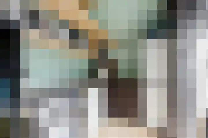 't Zwaantje 3 Ridderkerk thumbnail 16