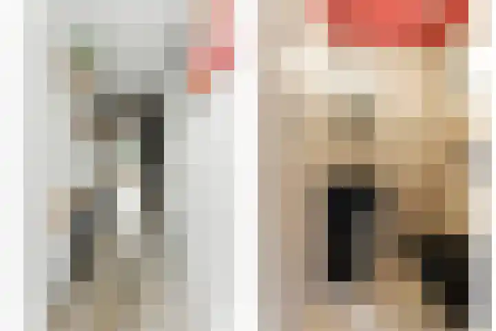 't Zwaantje 3 Ridderkerk thumbnail 18