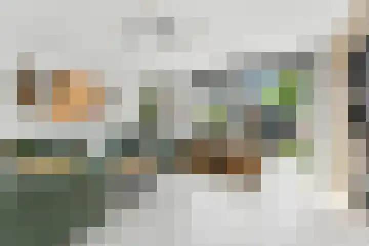 't Zwaantje 3 Ridderkerk foto 2