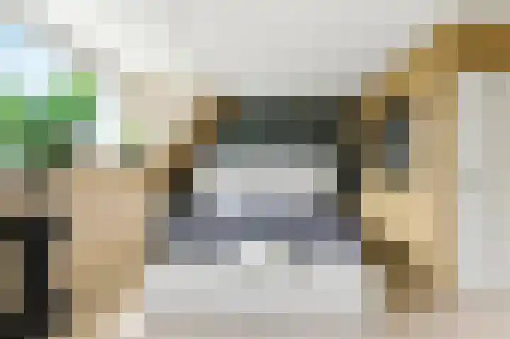 't Zwaantje 3 Ridderkerk thumbnail 20