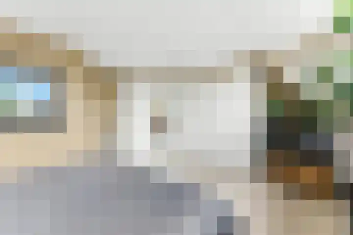 't Zwaantje 3 Ridderkerk thumbnail 21
