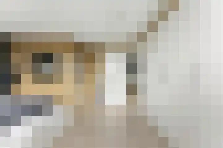 't Zwaantje 3 Ridderkerk thumbnail 22