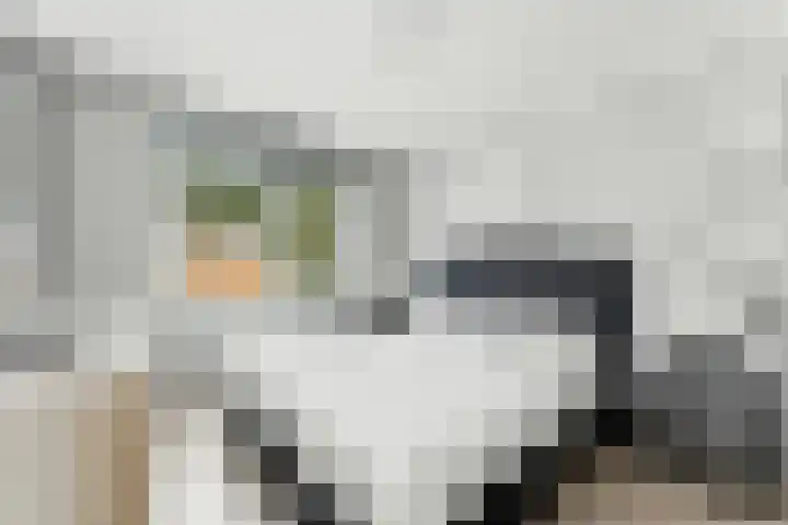 't Zwaantje 3 Ridderkerk thumbnail 23